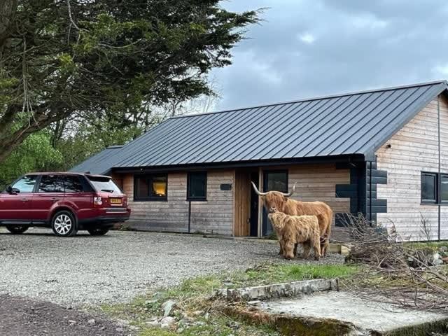New Build Lodge With Stunning Views Of Loch Awe Hayfield  Extérieur photo